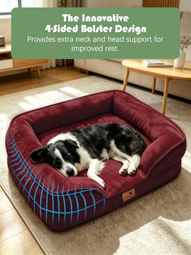 Orthopedic Dog Bed with Sides (35.0"L x 25.0"W x 6.5"Th / Burgundy)