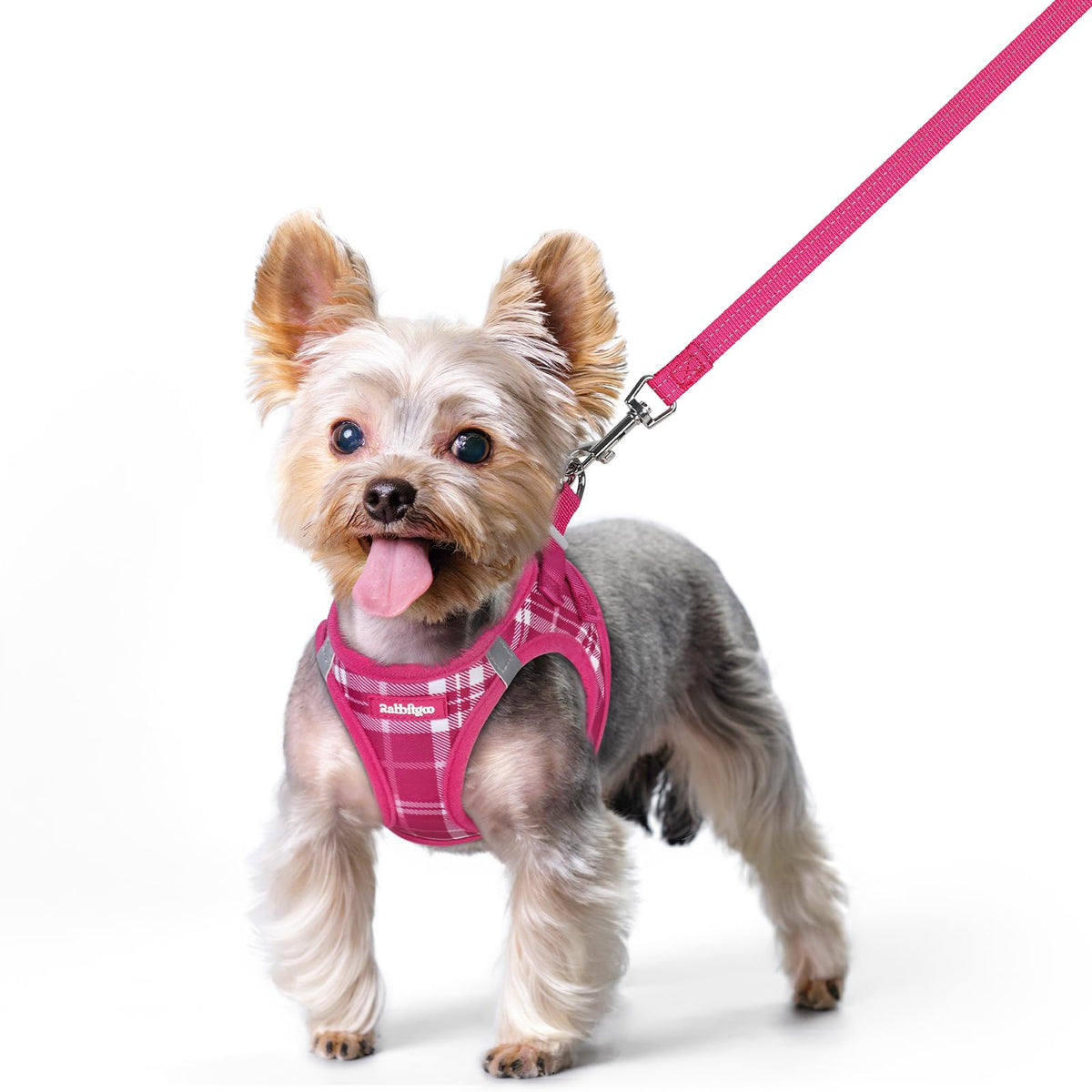 Dog Harness Small Sized and Leash Set (Rose Red Plaid / Xs (chest: 13.3 - 15.5"))