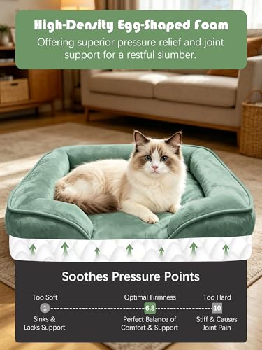 Orthopedic Dog Bed with Sides (24.0"L x 18.0"W x 6.0"Th / Green)