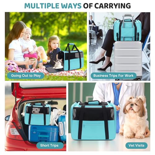 JUNGYOUN Premium Cat Carrier (Blue / 18.0"L x 12.5"W x 14.2"H)