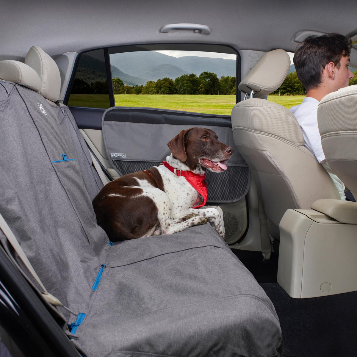 Rover Car Door Guard (Charcoal Grey / 1 Count (Pack of 1))