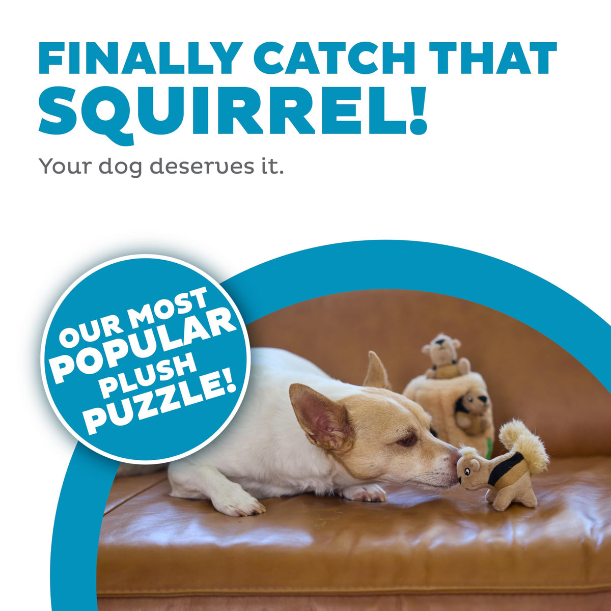 Hide-A-Squirrel Plush Squeaky Dog Toy, Small, 5" x 7" (Squirrel Small / Small (Pack of 1))