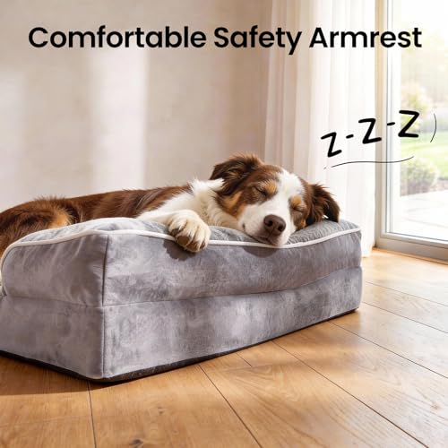 Orthopedic Medium Large Dog Bed Sofa (35" x 22" x 6.5"(Crate Fit) / 01-Gray)