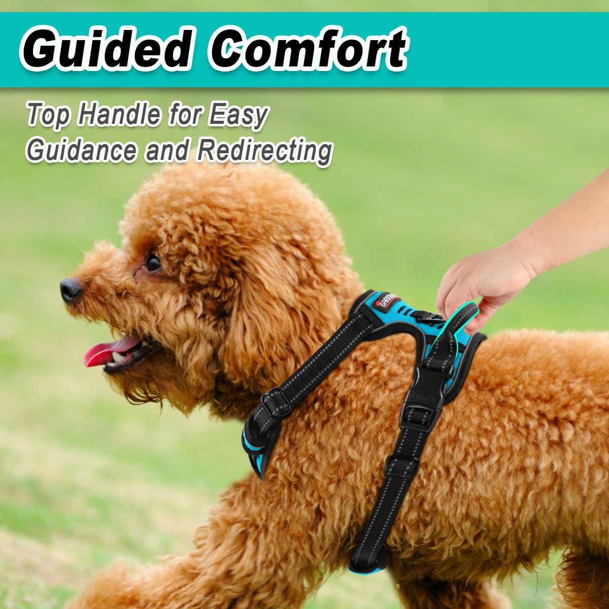 Dog Harness for Small Sized Dog No Pull 2 Leash Clips Dog Vest (Blue / X-Small)