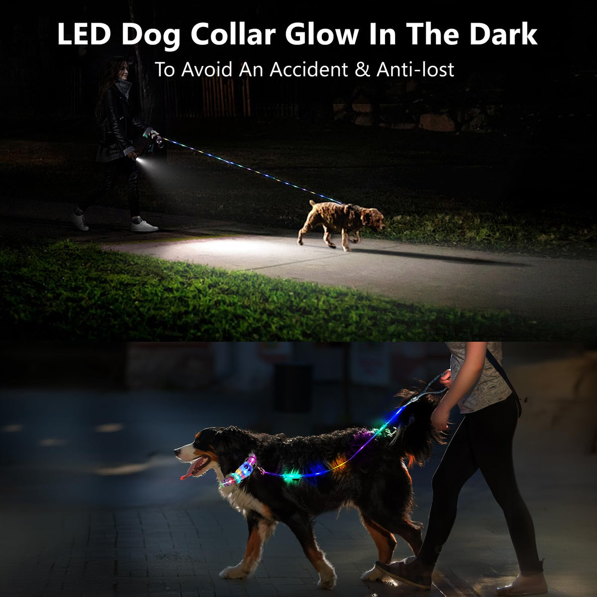Light Up Dog Leash USB Rechargeable for Small Medium Large Dogs (Bohemian Orange / L59in/W1in)