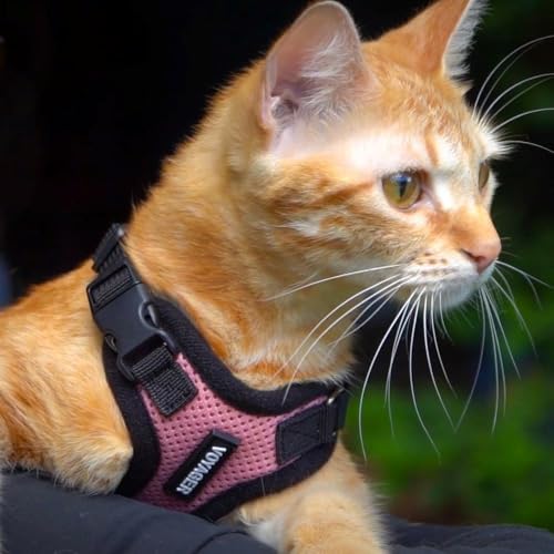 Voyager Step in Lock Cat Harness & Leash Set (Pink/Black Trim / XS (Chest: 13 - 16"))