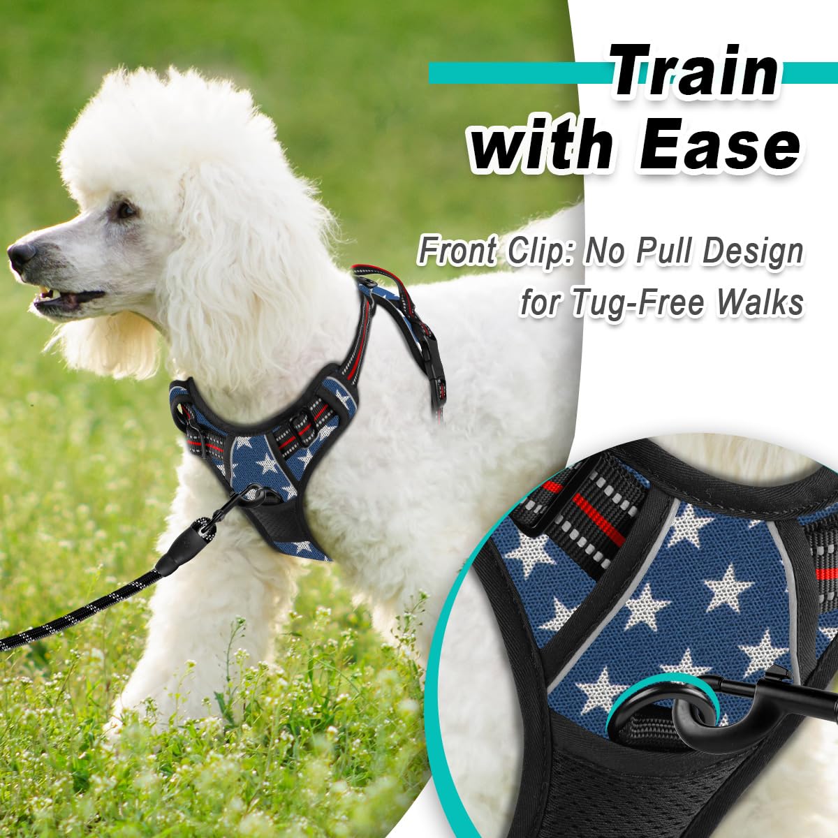 Dog Harness for Small Sized Dog No Pull Mesh 2 Clips Dog Vest (Blue Star-Mesh / X-Small)