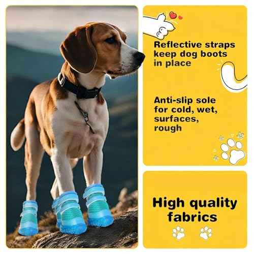 Dog Shoes for Small Dogs (Blue / #3 (Width 1.49 inch) for 11.0-16.5 lbs)