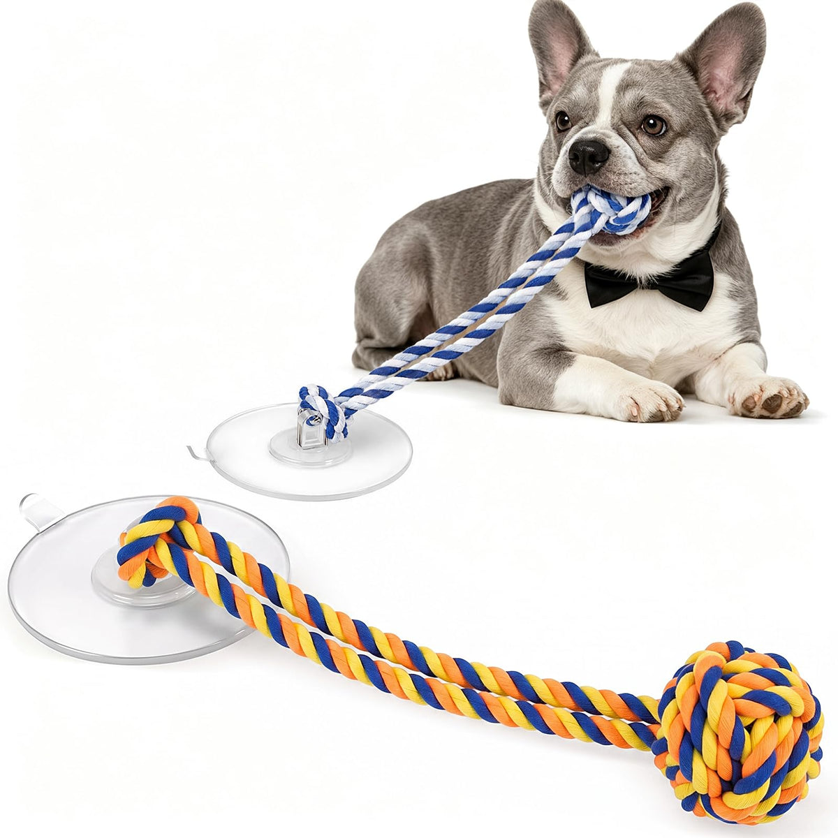 Dog Rope Toy with Suction Cup Interactive Tug of War Toy 2Pcs (suction cup)