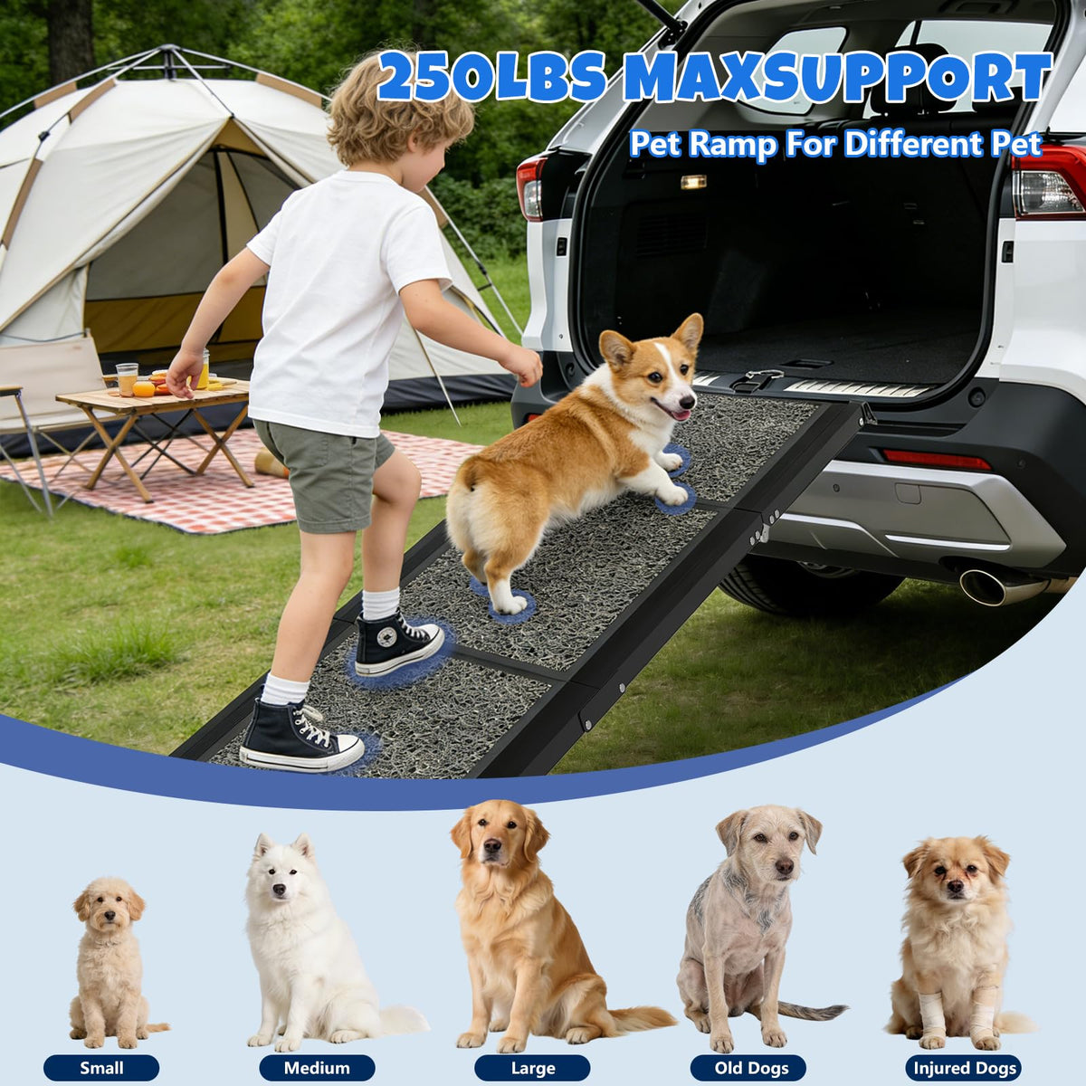 Dog Ramp for Car (71" L x 17" W)