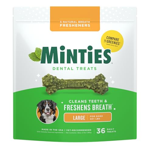 Mint Dental Chews for Dogs (Large Dogs - 48oz)