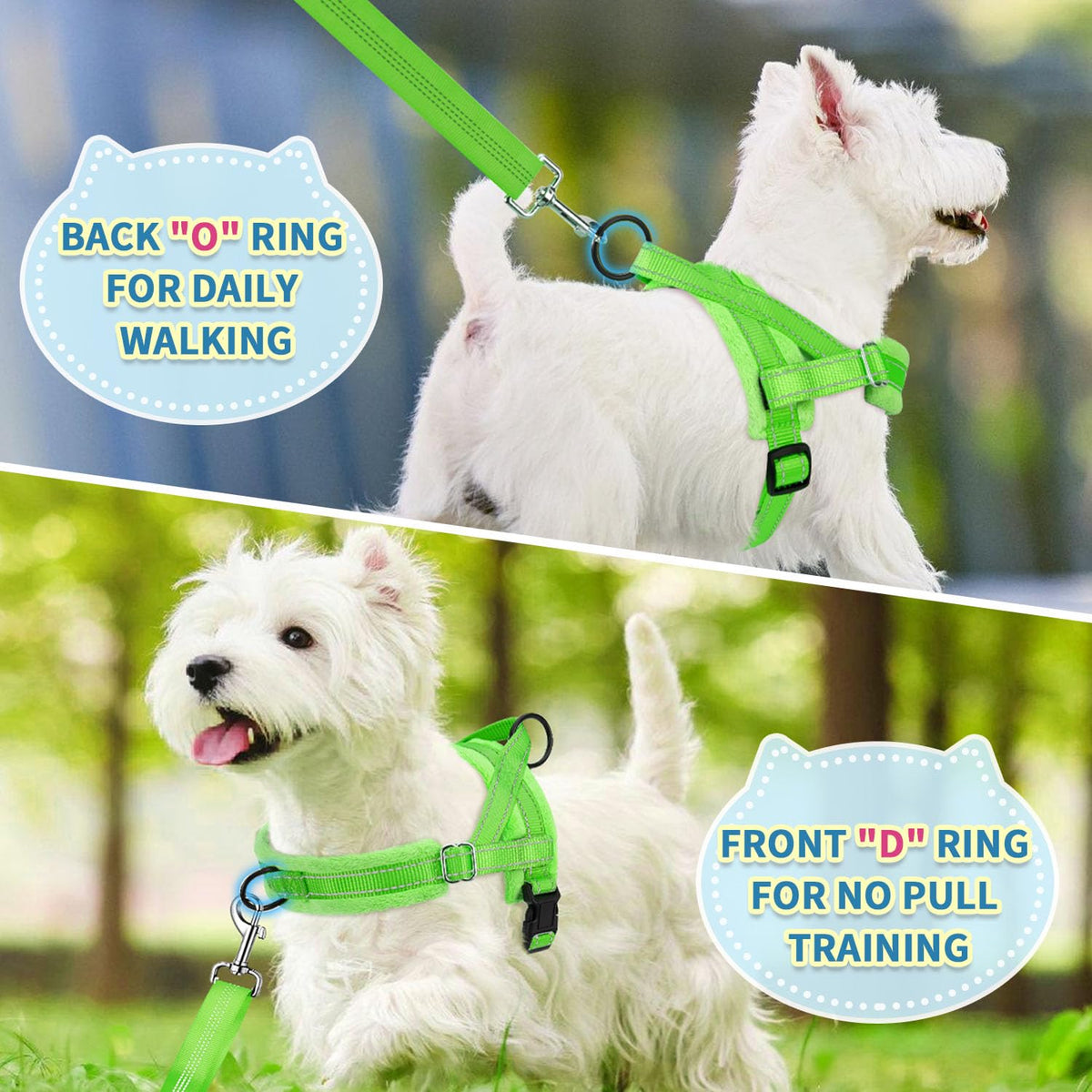 No Pull Small Dog Harness and Leash Set with Front Clip (XX-Small / Green)
