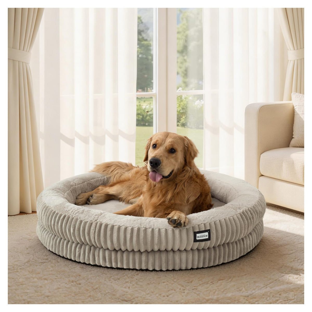Donut Dog Bed (43.0"L x 43.0"W x 8"Th / Wind Chime)