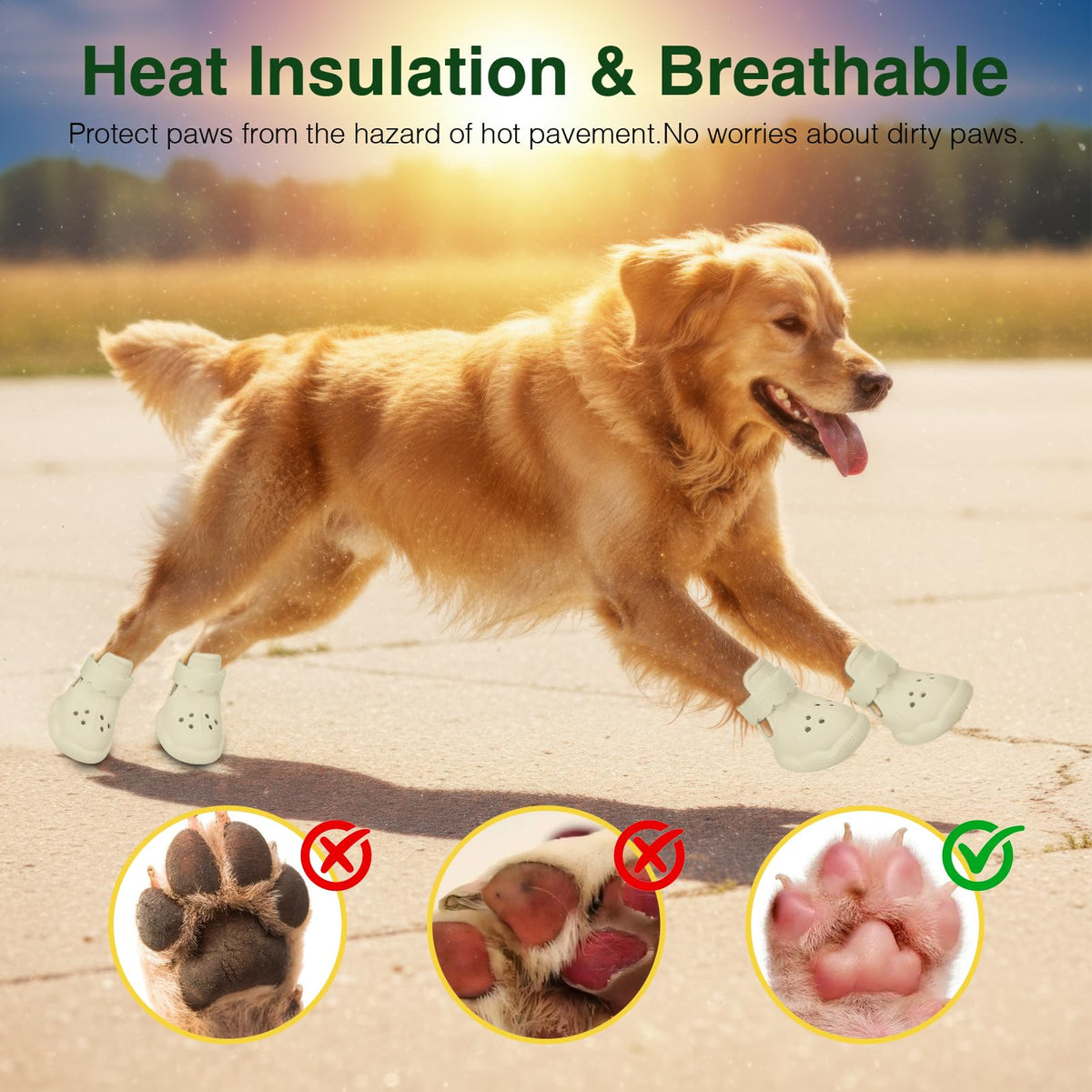 Dog Shoes for Hot Pavement and Snow (Beige / XL)