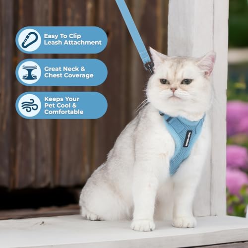 Voyager Step in Lock Cat Harness & Leash Set (Baby Blue / XXS (Chest: 11.5 - 14"))