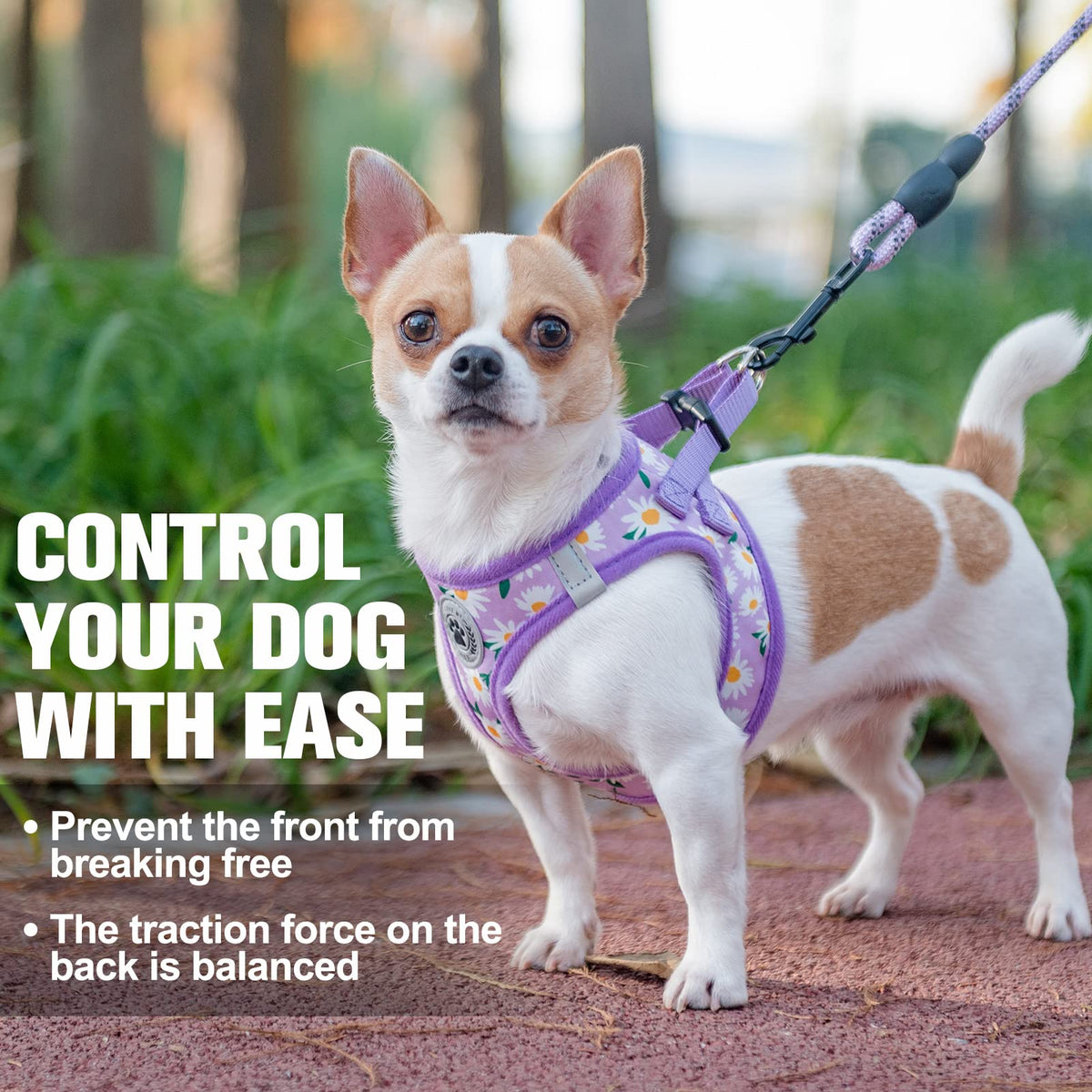 Small Dog Harness and Leash Set (Small(Chest Girth 14.5" - 16") / Purple Daisy)