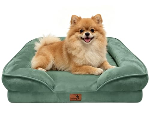 Orthopedic Dog Bed with Sides (24.0"L x 18.0"W x 6.0"Th / Green)