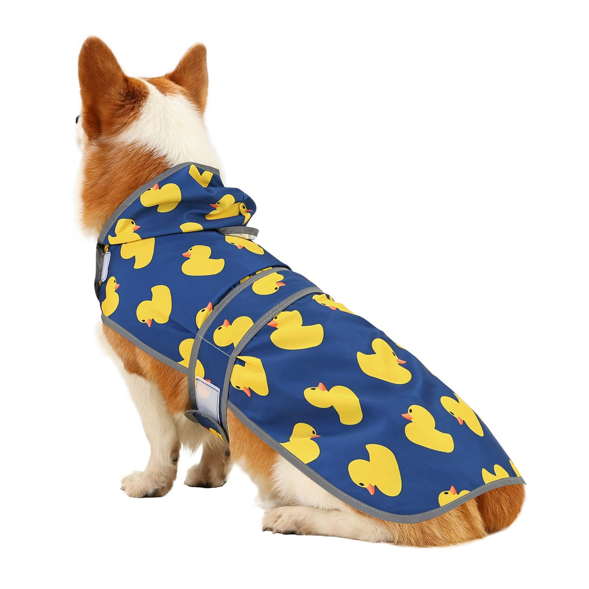 Dog Raincoat for Medium Dogs Waterproof Jacket Hooded Rain Coats with Reflective Strips Leash Hole & Poncho Adjustable Fit (Blue Duck / Medium)