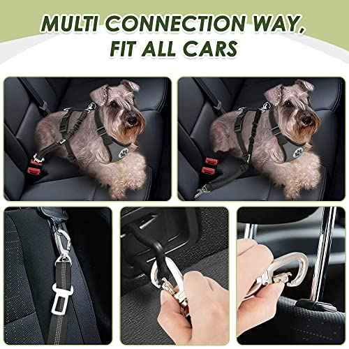 Dog Seat Belt and Harness for Car (Grey / Small)