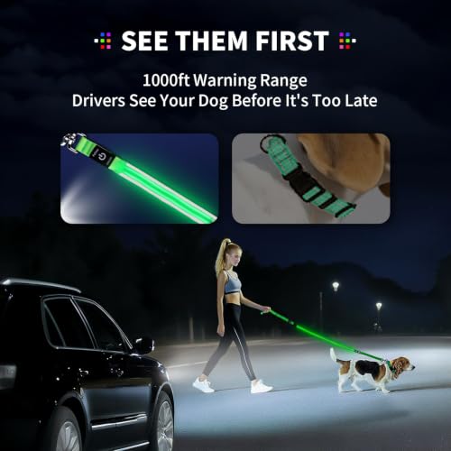 LED Dog Leash (White / 6 feet)