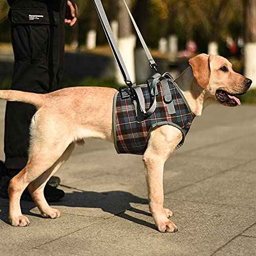 Dog Lift Harness (Medium / Chest-Blue)