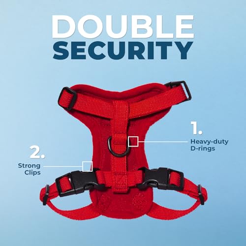 Voyager Step in Lock Cat Harness & Leash Set (Red / XXS (Chest: 11.5 - 14"))