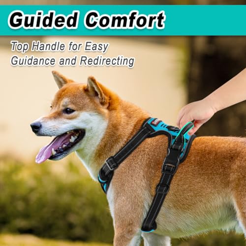Dog Harness for Large Dog No Pull 2 Leash Clips Dog Vest (X-Large / Blue)