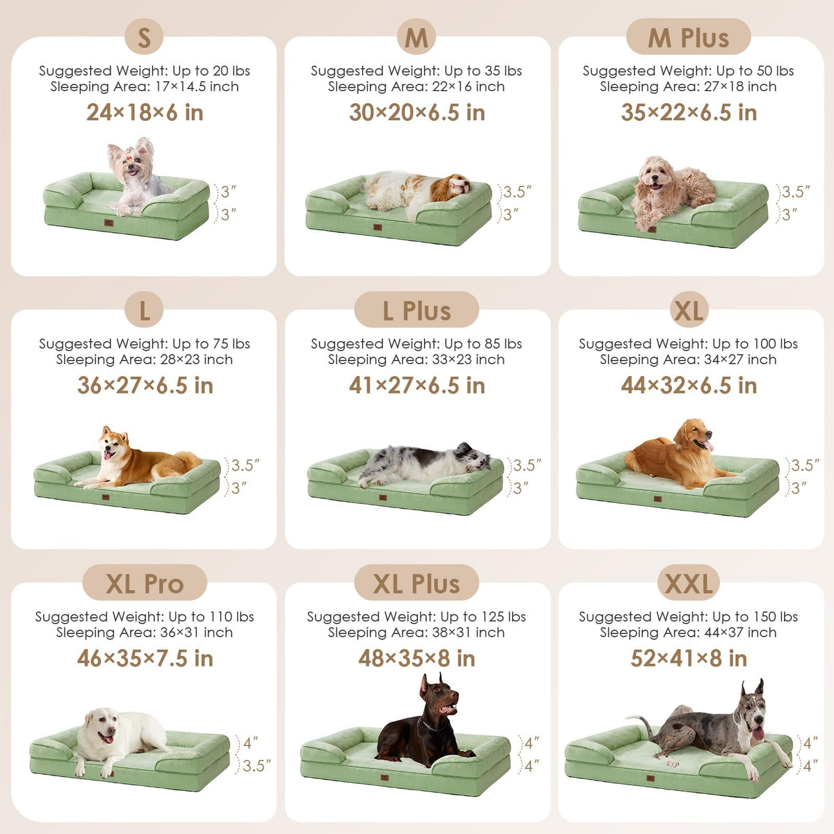 Orthopedic Dog Bed Medium Size Dog (Sage Green / 30.0"l X 20.0"w X 6.5"th)