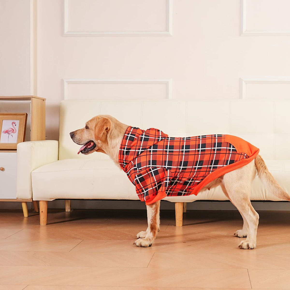 Plaid Dog Hoodie (Orange / X-Large)