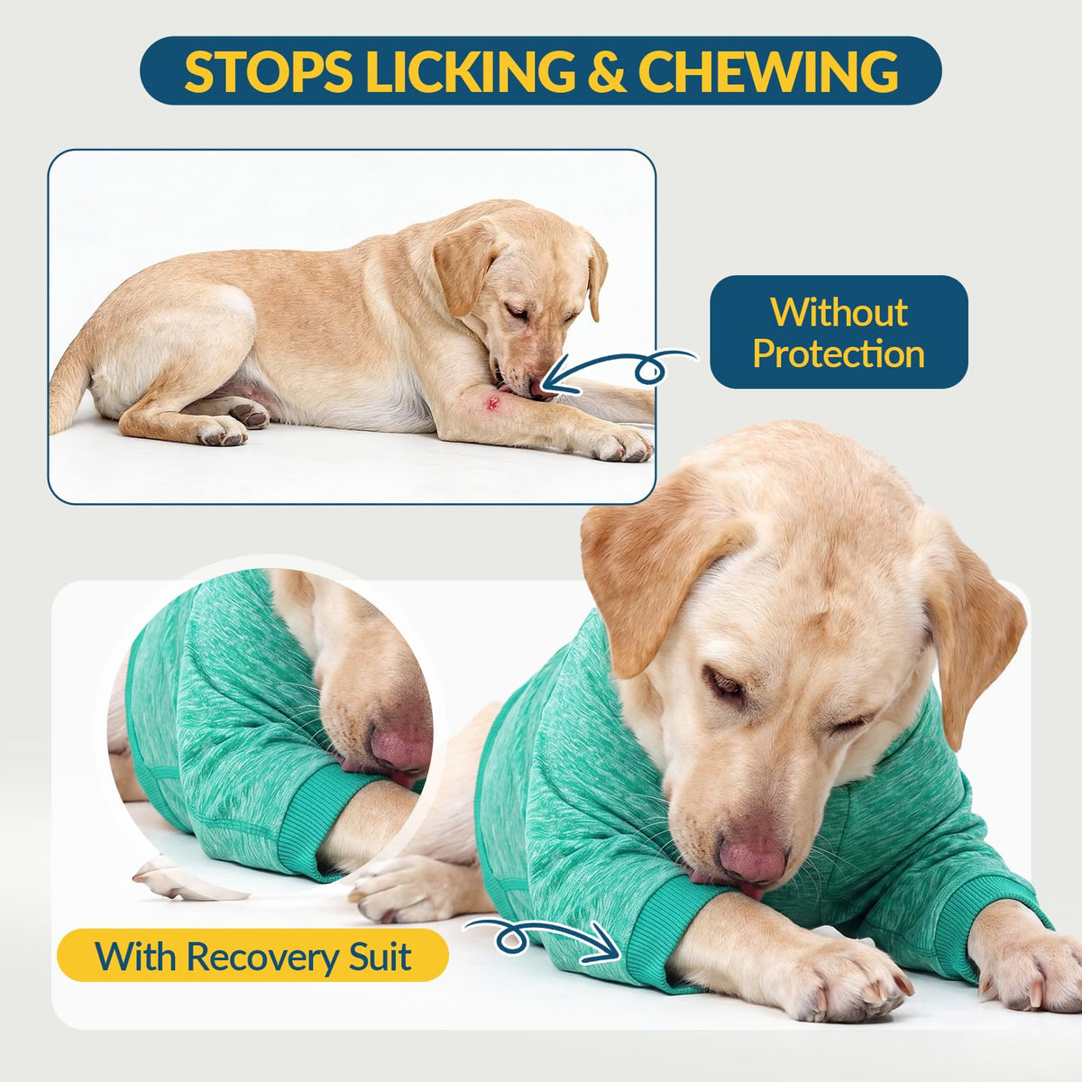 Long Sleeve Dog Recovery Suit Prevent Front Leg Licking on Hotspot (2XL / Green)