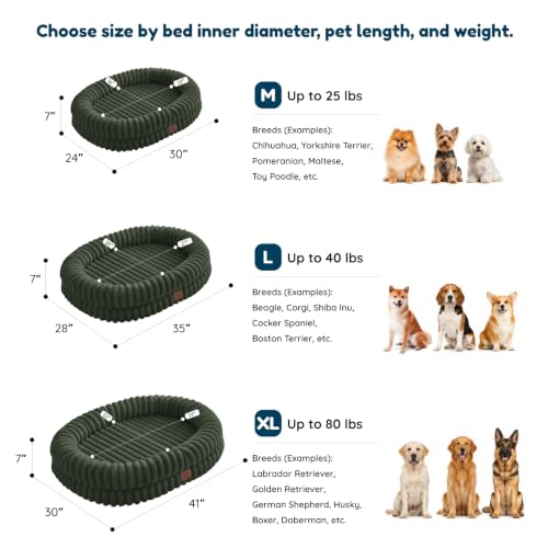 Orthopedic Dog Bed (Olive Green / L(35*28*7))