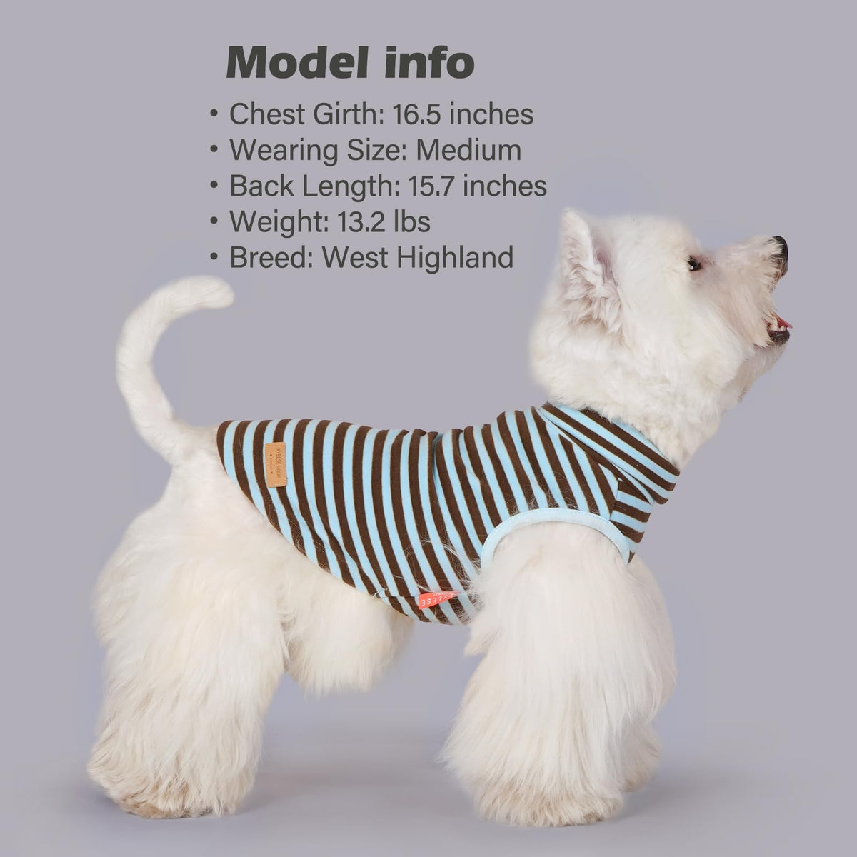 2Pack Dog Sweater for Medium Dogs Soft Pet Coats Fleece Sweatshirt (X-Large (19-27lbs) / 6# Stripe+blue)