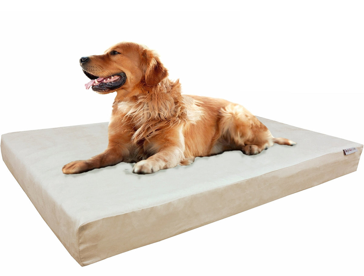 Extra Large True Orthopedic Gel Memory Foam Dog Bed for Large Pet (40X35X4 Inches Extra Large / MicroSuede in Khaki)