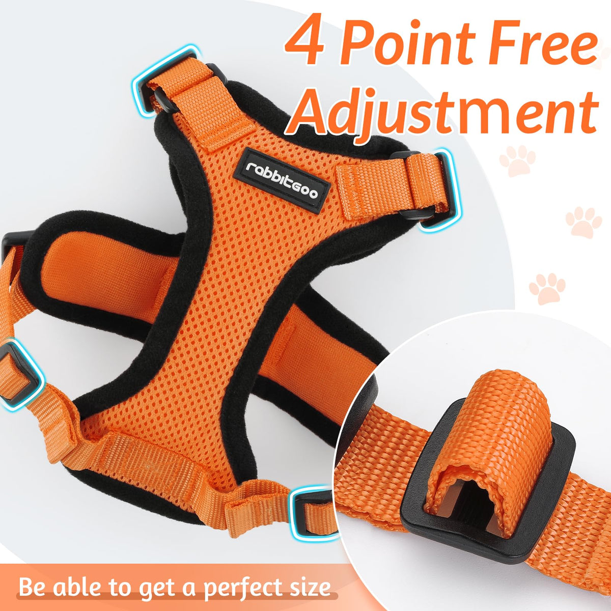 Cat Harness and Leash Set (Xs / Orange)