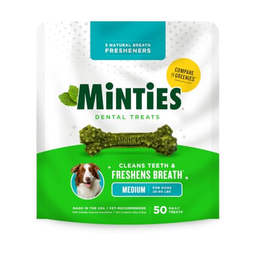 Mint Dental Chews for Dogs (Medium Dogs - 42oz)