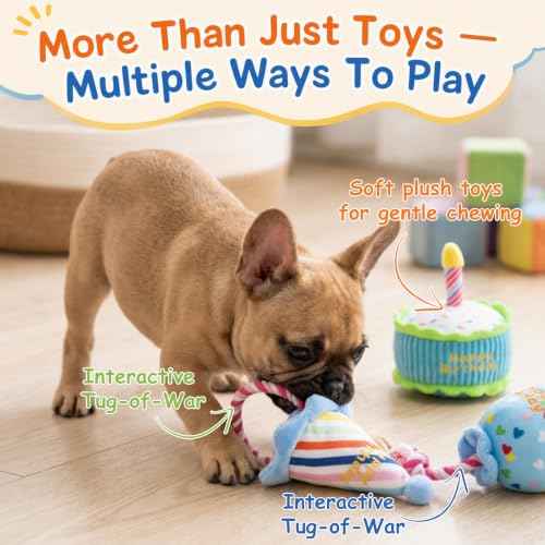 Squeaky Hide and Seek Dog Toys for Small and Medium Dogs (Birthday Set)