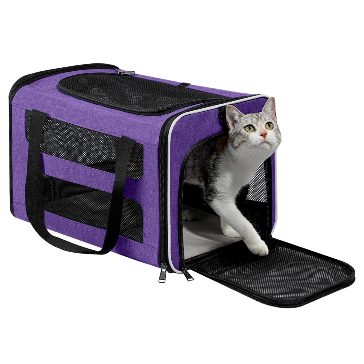 Cat Carrier Soft (Purple / 18.5"L x 11.8"W x 11.8"H)