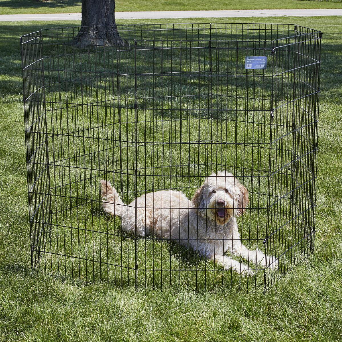 MidWest 48 Inch Exercise Pen (Black No Door / 48" H)