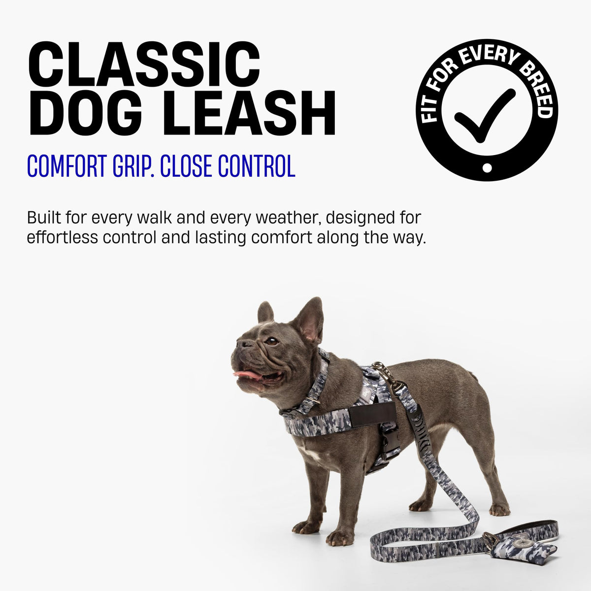 Classic Dog Leash for Daily Walks (Orange / Regular)