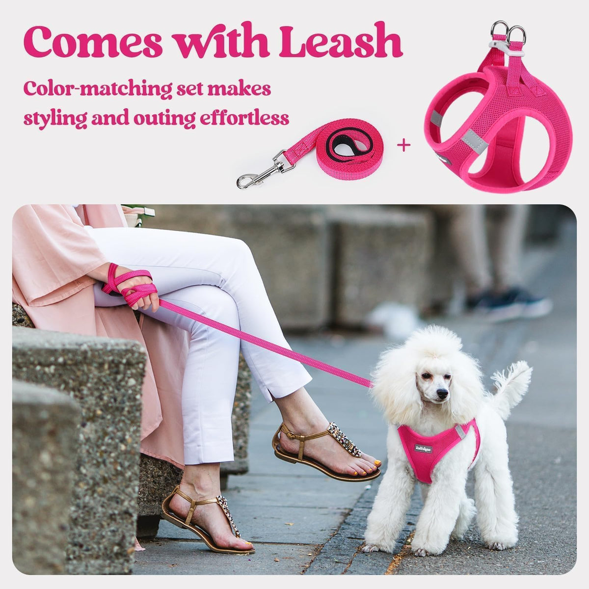 Dog Harness Medium Sized and Leash Set (Rose Red / Xxl (chest: 21.6 - 23.7"))