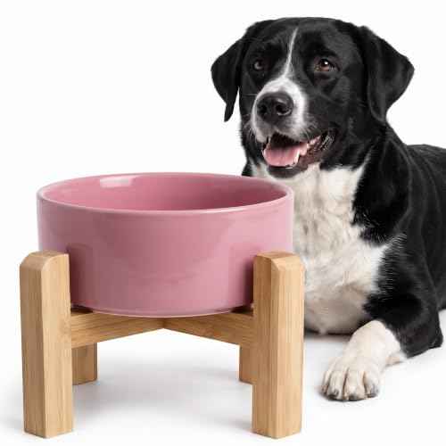 Elevated Ceramic Dog Bowl with Bamboo Stand (Deep Pink / 7.6Cup)