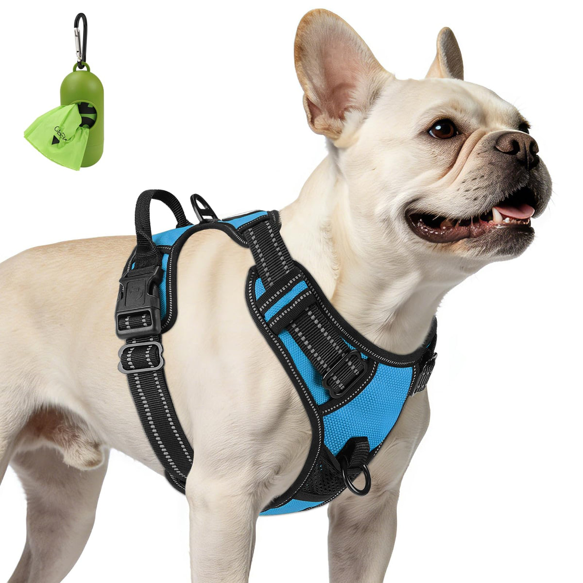 No Pull Dog Harness for Small Dogs (Small / SkyBlue)