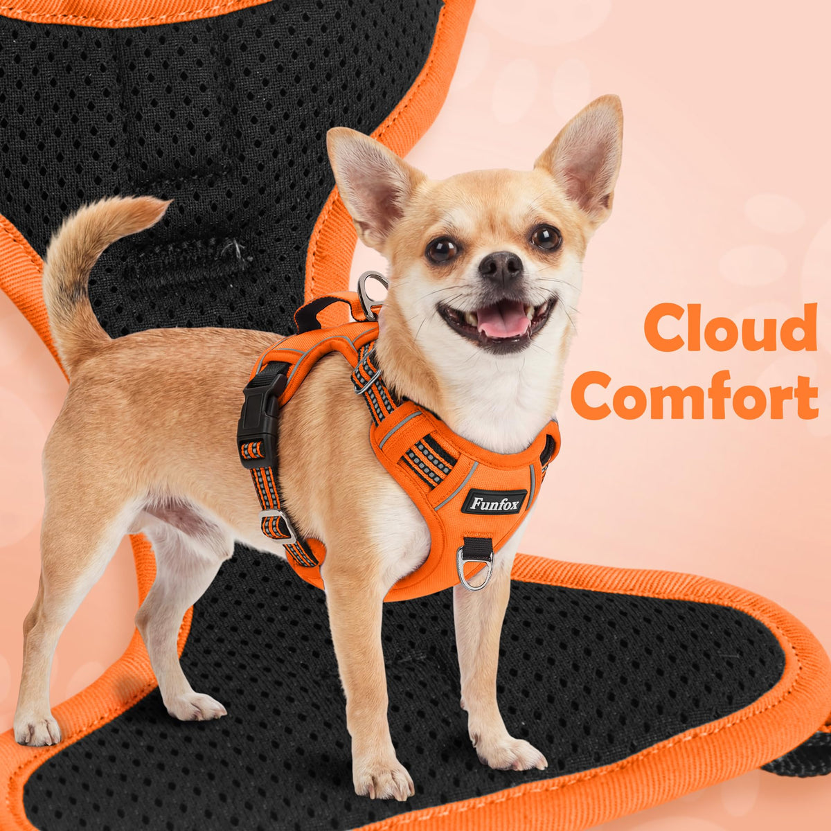 Dog Harness Small Sized Dog (Orange / Small)