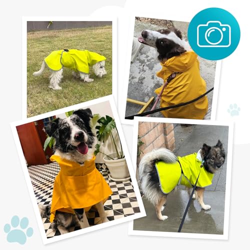 Dog Raincoat Dog Rain Jacket Poncho with Hood and Leash Hole (Neon Blue / 4XL)