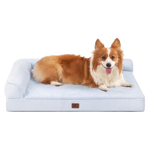 Orthopedic Dog Bed (Washblue / 35.0"L x 22.0"W x 6"Th)