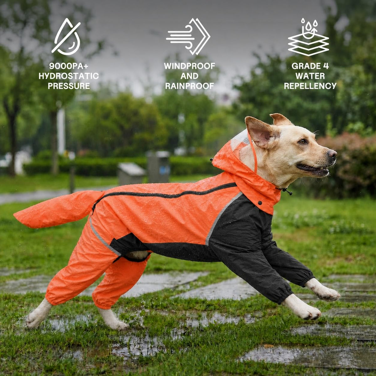 Full Body Dog Raincoat with Detachable Hood (Orange / X-Large)