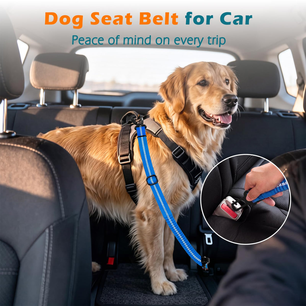 Dog Seat Belt for Car (Sporty Blue / 1 Pack)
