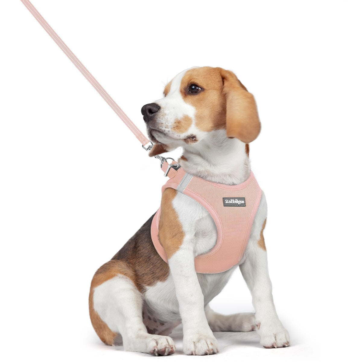 Dog Harness Medium Sized and Leash Set (Pink / L (chest: 18.2 - 20.5"))