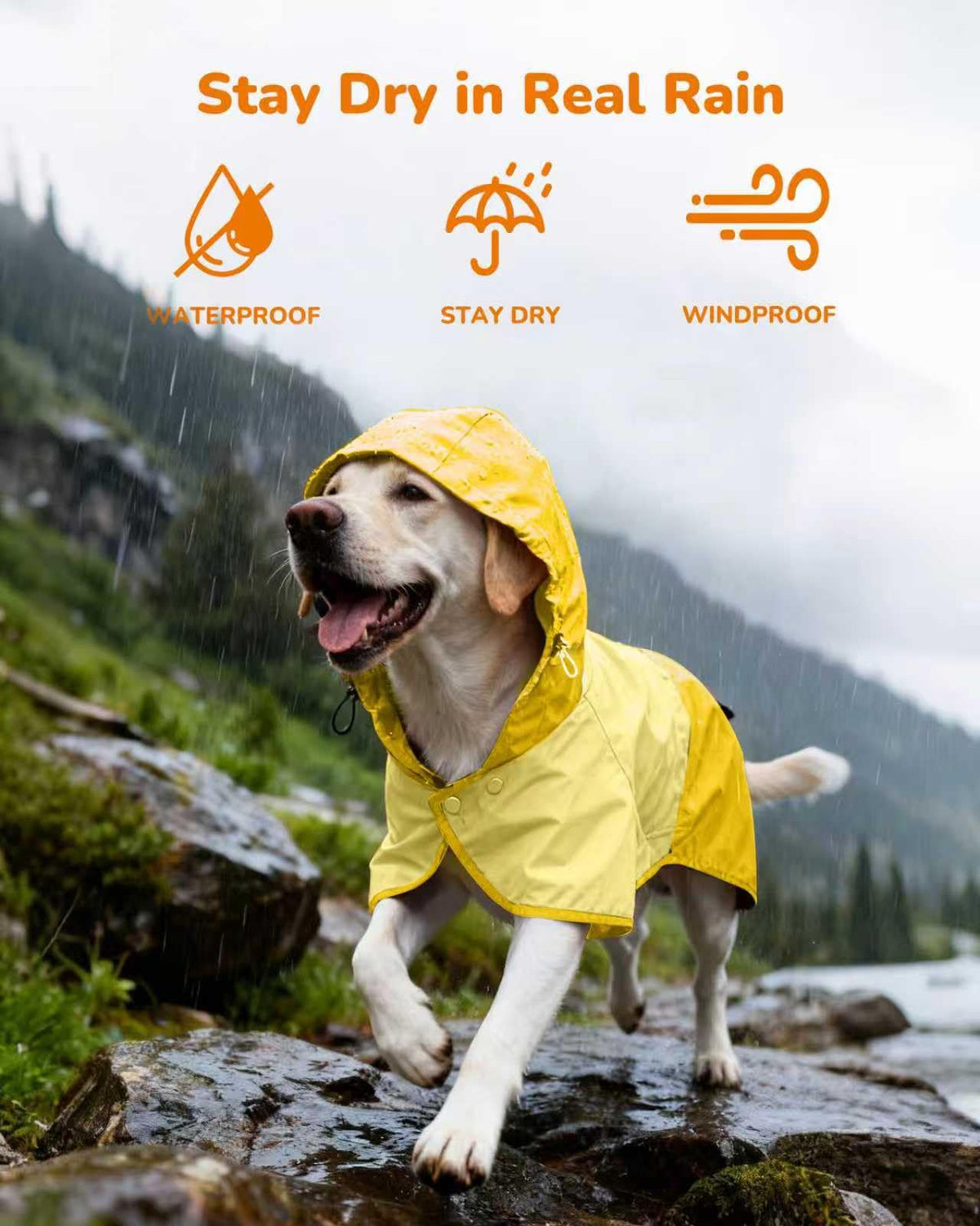 Waterproof Dog Raincoat with Hood (Large / Yellow)