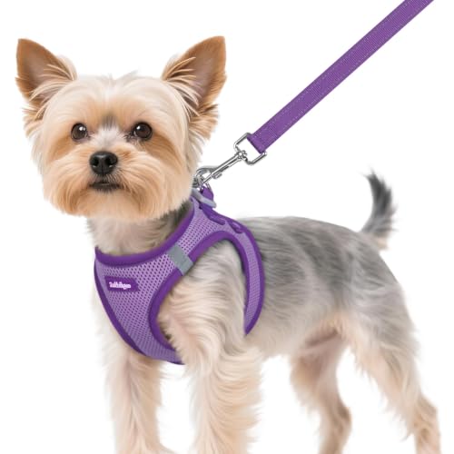Dog Harness Small Sized and Leash Set (Light Purple & Purple / XS (Chest: 13.3"-15.5"))